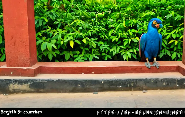 মালয়েশিয়ার স্বাধীনতার পথে: গুরুত্বপূর্ণ ঘটনা, নেতা ও ইতিহাস শেখার নির্ভরযোগ্য উপায় 4 말레이시아의 독립 운동사 관련 이미지 2